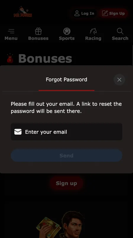 Password reset screen with email field
